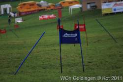 2011-08-30 - World Championship - Goldingen &raquo; 2011-09-04 - MS GS